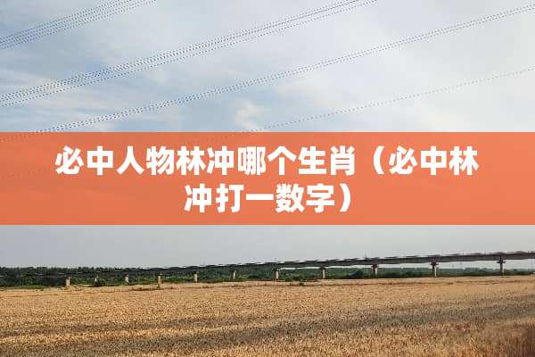 必中人物林冲哪个生肖（必中林冲打一数字）