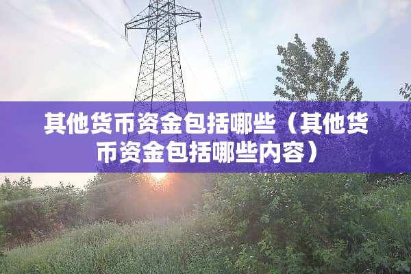 其他货币资金包括哪些（其他货币资金包括哪些内容）