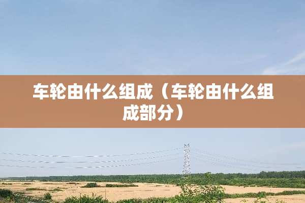 车轮由什么组成（车轮由什么组成部分）