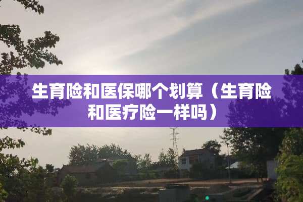 生育险和医保哪个划算（生育险和医疗险一样吗）