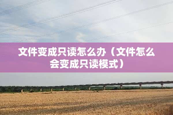 文件变成只读怎么办（文件怎么会变成只读模式）