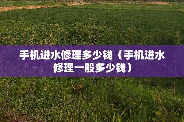 手机进水修理多少钱（手机进水修理一般多少钱）