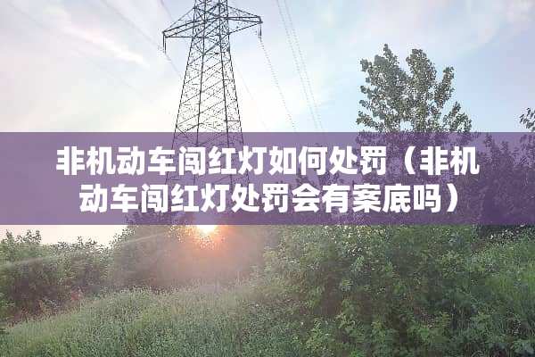 非机动车闯红灯如何处罚（非机动车闯红灯处罚会有案底吗）