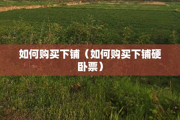 如何购买下铺（如何购买下铺硬卧票）
