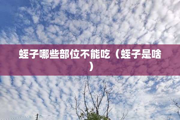 蛭子哪些部位不能吃（蛭子是啥）