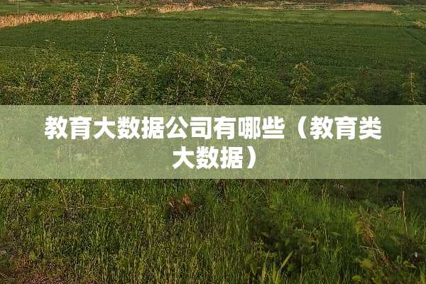 教育大数据公司有哪些（教育类大数据）