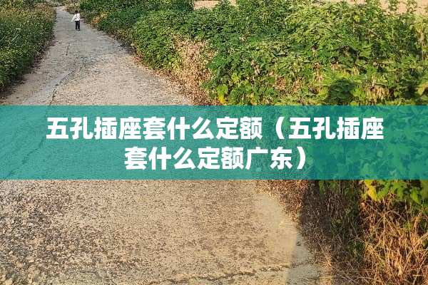 五孔插座套什么定额（五孔插座套什么定额广东）