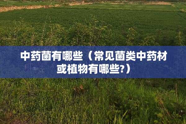 中药菌有哪些（常见菌类中药材或植物有哪些?）