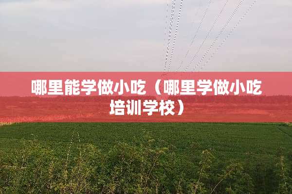 哪里能学做小吃（哪里学做小吃培训学校）