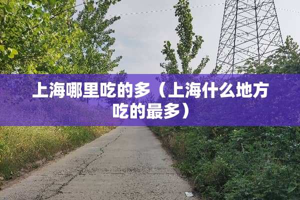 上海哪里吃的多（上海什么地方吃的最多）