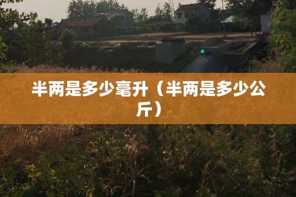 半两是多少毫升（半两是多少公斤）