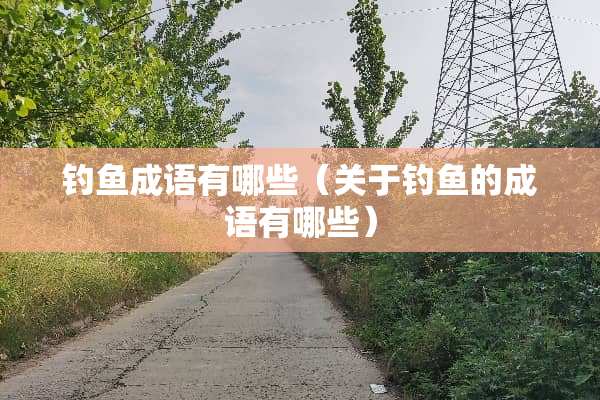 钓鱼成语有哪些（关于钓鱼的成语有哪些）