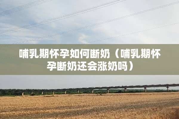 哺*期怀孕如何断奶（哺*期怀孕断奶还会涨奶吗）