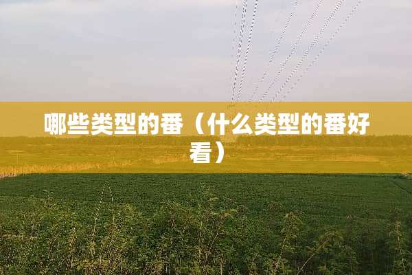 哪些类型的番（什么类型的番好看）
