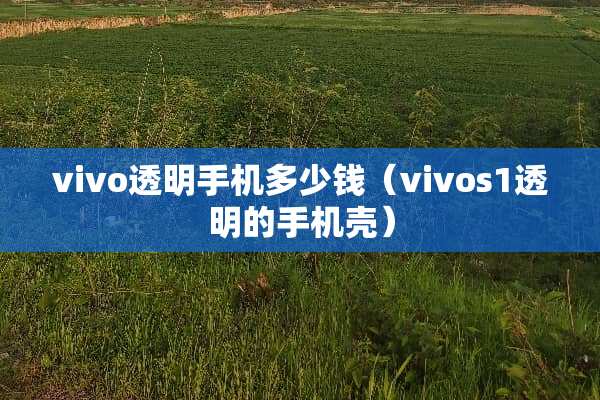 vivo透明手机多少钱（vivos1透明的手机壳）