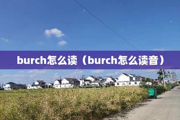 burch怎么读（burch怎么读音）