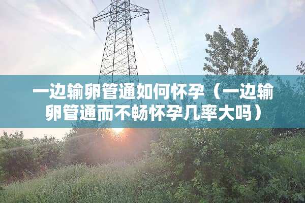 一边输卵管通如何怀孕（一边输卵管通而不畅怀孕几率大吗）