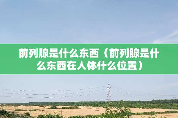 前列腺是什么东西（前列腺是什么东西在人体什么位置）