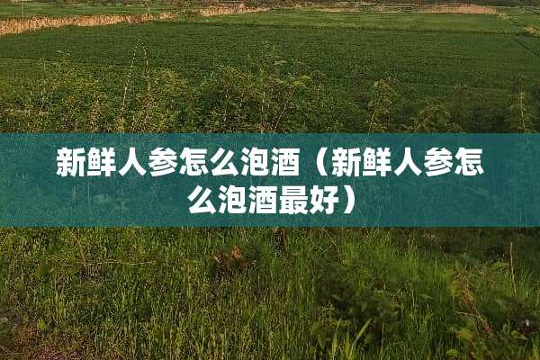 新鲜人参怎么泡酒（新鲜人参怎么泡酒最好）