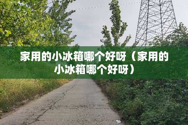 家用的小冰箱哪个好呀（家用的小冰箱哪个好呀）