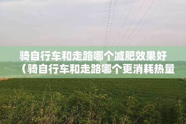 骑自行车和走路哪个减肥效果好（骑自行车和走路哪个更消耗热量）