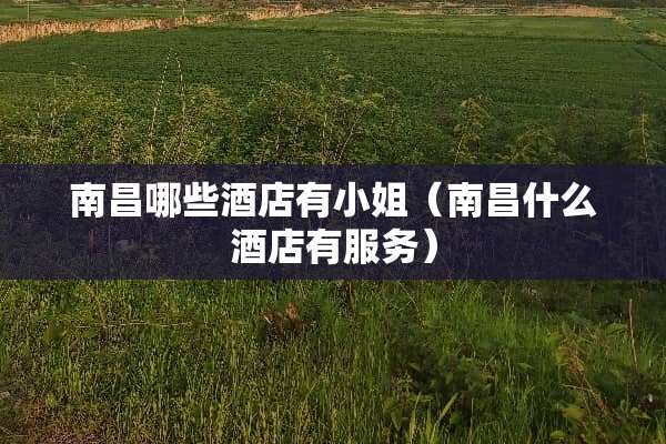 南昌哪些酒店有小姐（南昌什么酒店有服务）