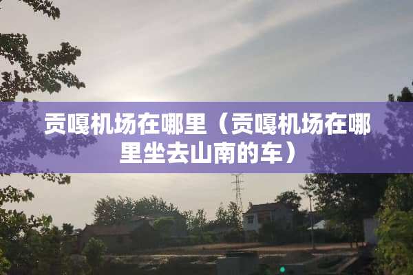 贡嘎机场在哪里（贡嘎机场在哪里坐去山南的车）
