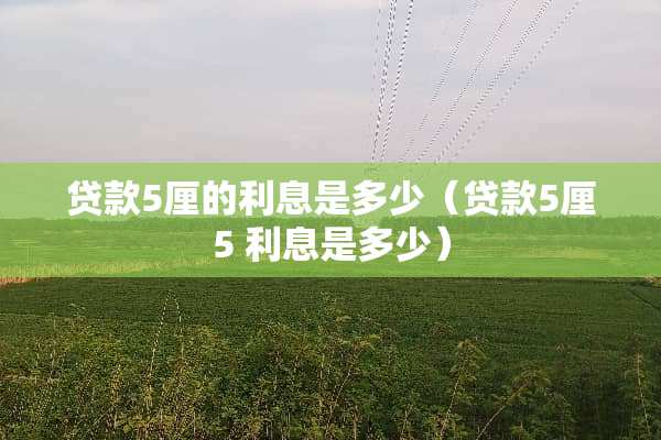 贷款5厘的利息是多少（贷款5厘5 利息是多少）