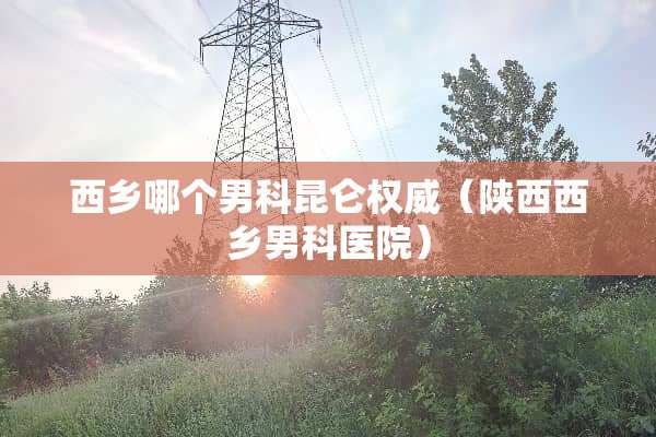 西乡哪个男科昆仑权威（陕西西乡男科医院）