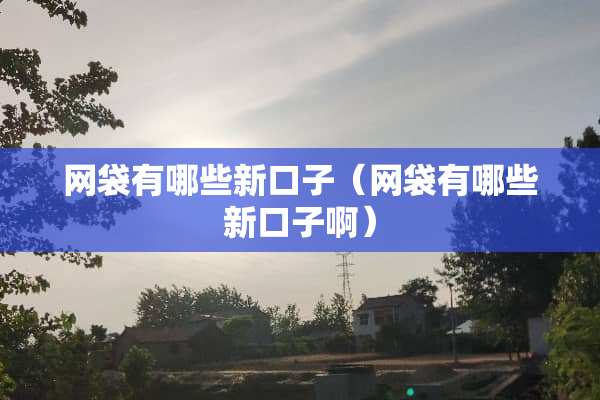 网袋有哪些新口子（网袋有哪些新口子啊）