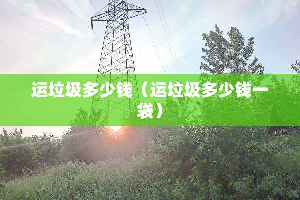 运垃圾多少钱（运垃圾多少钱一袋）