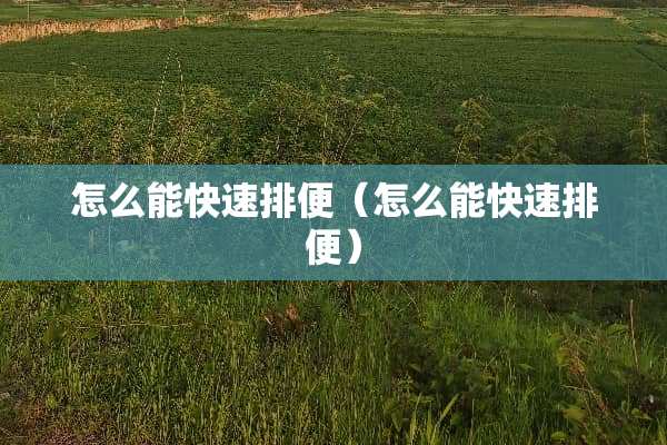 怎么能快速排便（怎么能快速排便）