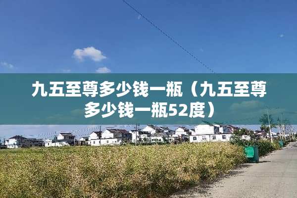 九五至尊多少钱一瓶（九五至尊多少钱一瓶52度）