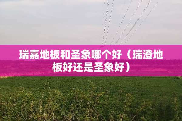 瑞嘉地板和圣象哪个好（瑞澄地板好还是圣象好）