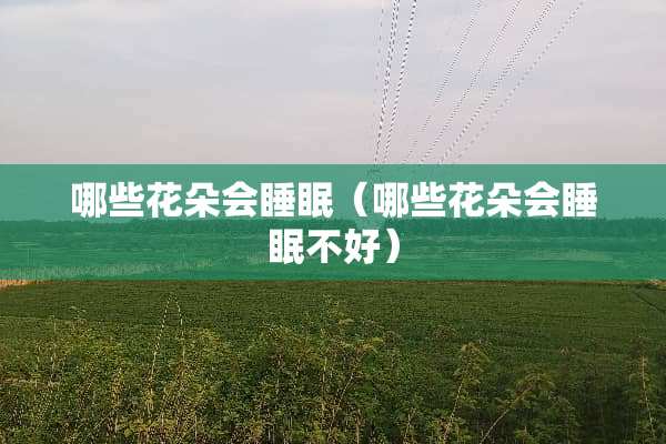 哪些花朵会睡眠（哪些花朵会睡眠不好）