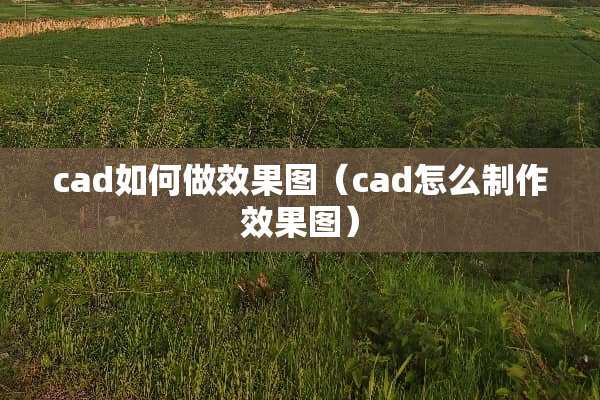 cad如何做效果图（cad怎么制作效果图）
