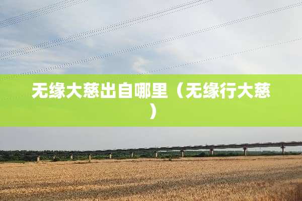 无缘大慈出自哪里（无缘行大慈）