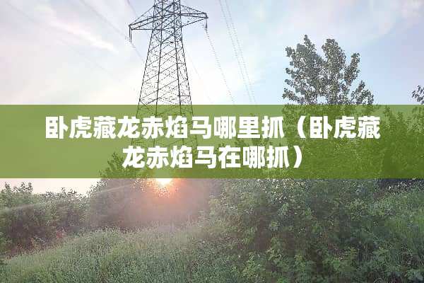卧虎藏龙赤焰马哪里抓（卧虎藏龙赤焰马在哪抓）