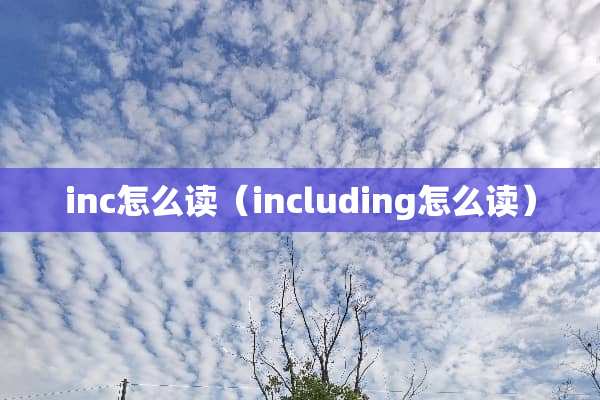 inc怎么读（including怎么读）