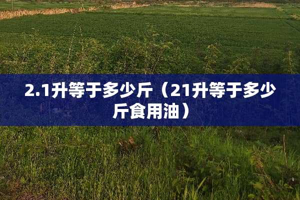 2.1升等于多少斤（21升等于多少斤食用油）