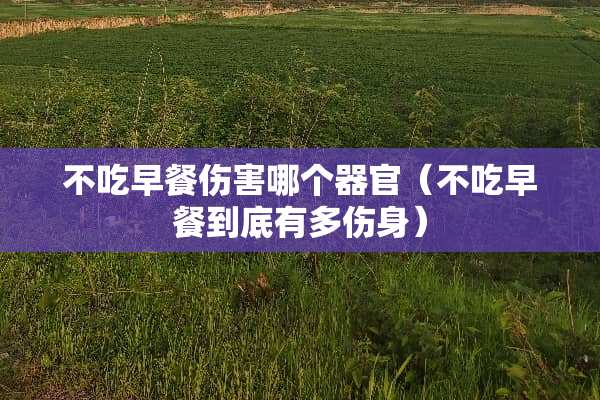 不吃早餐伤害哪个**（不吃早餐到底有多伤身）