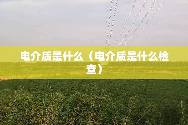 电介质是什么（电介质是什么检查）