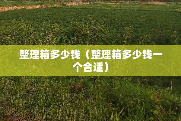 整理箱多少钱（整理箱多少钱一个合适）