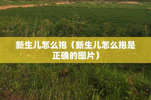 新生儿怎么抱（新生儿怎么抱是正确的图片）