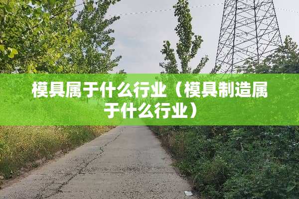 模具属于什么行业（模具制造属于什么行业）