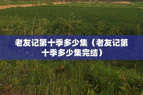 老友记第十季多少集（老友记第十季多少集完结）