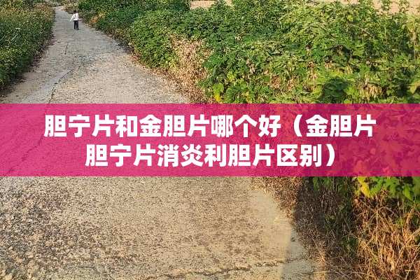 胆宁片和金胆片哪个好（金胆片胆宁片消炎利胆片区别）