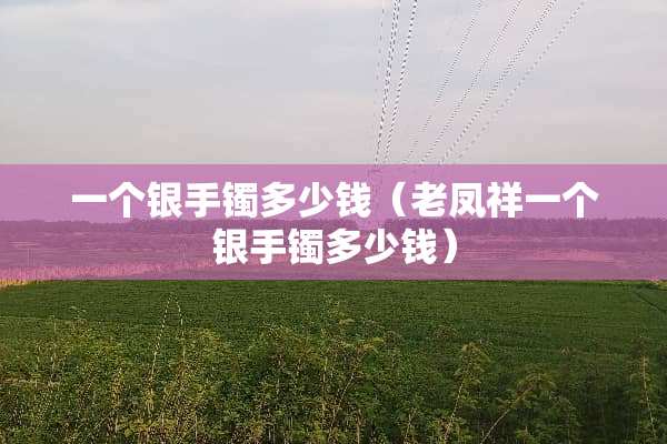 一个银手镯多少钱（老凤祥一个银手镯多少钱）