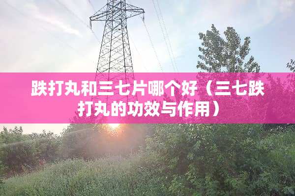 跌打丸和三七片哪个好（三七跌打丸的功效与作用）