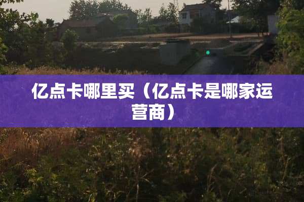亿点卡哪里买（亿点卡是哪家运营商）